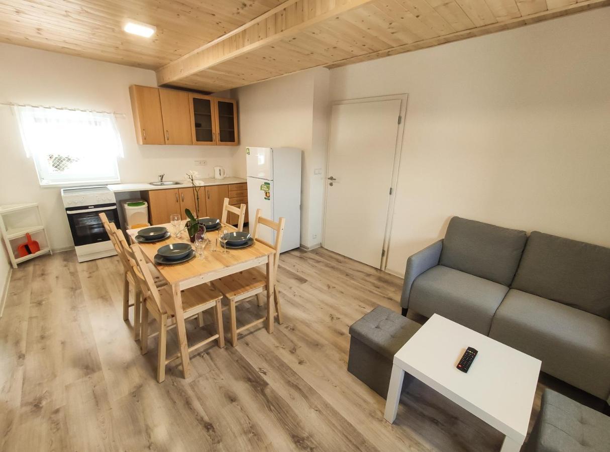 Apartment Pro Lipno Horni Plana