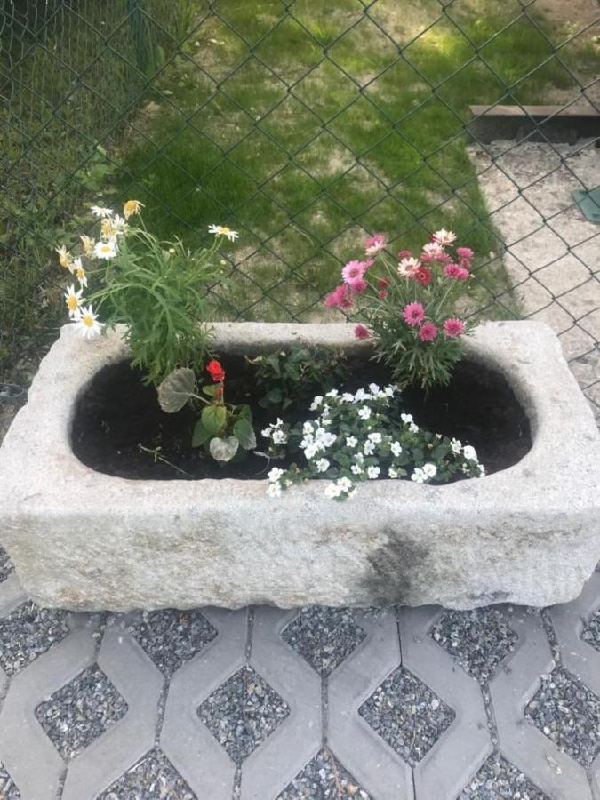 Pro Lipno Апартаменти